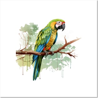 Military Macaw Posters and Art